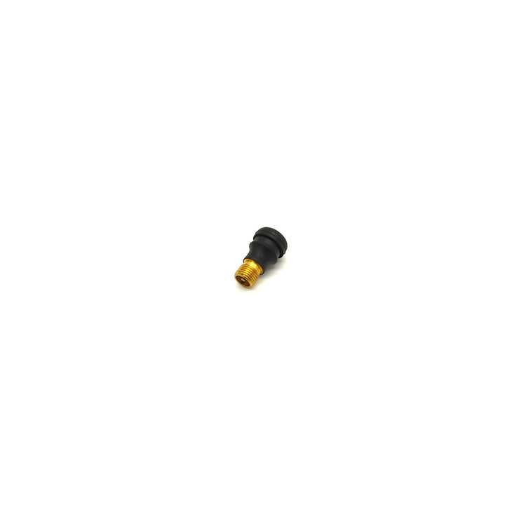 Valve pour pneu tubeless – Dualtron