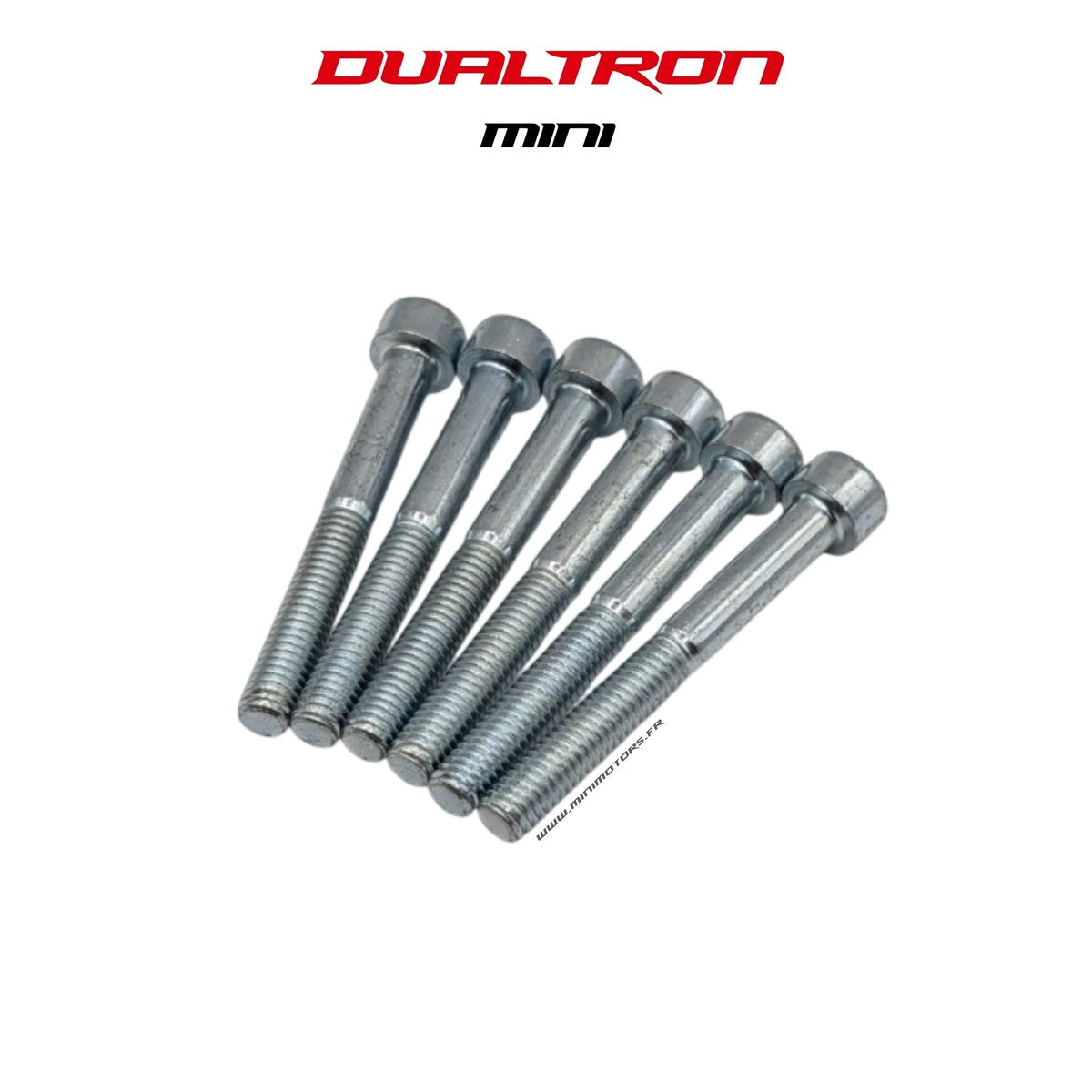 Vis colonne de direction M6x48 (x6) – Dualtron Mini