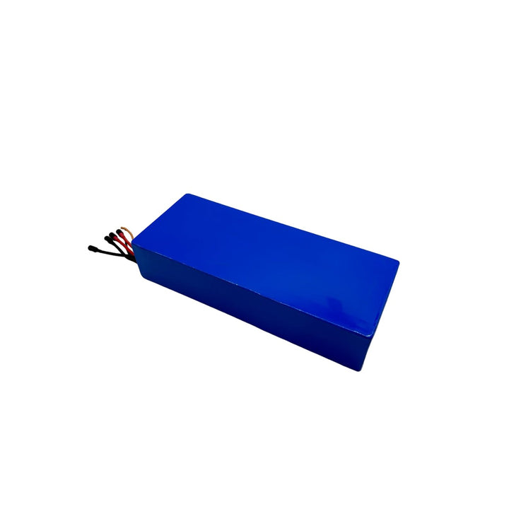 Batterie 60V 24Ah – Dualtron Victor, Luxury & compatibles
