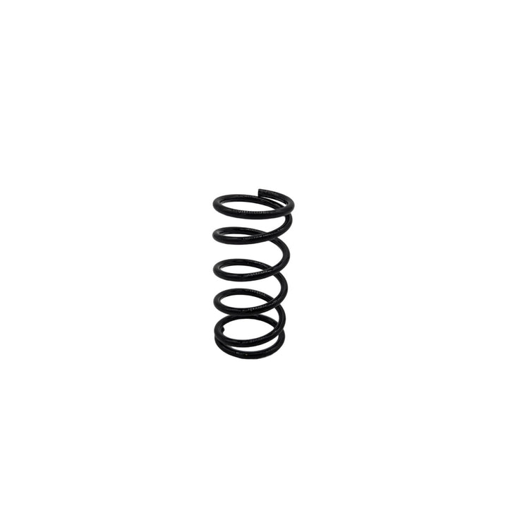 Suspension avant – Dualtron Dolphin