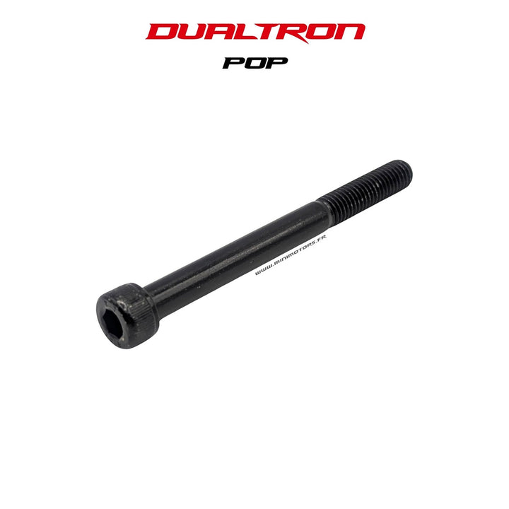 Axe de fourche arrière – Dualtron Pop