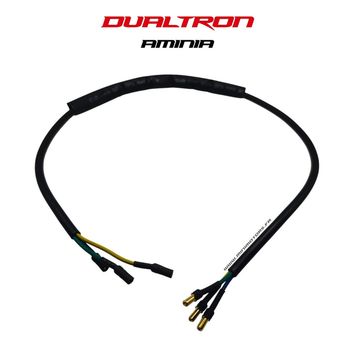 Câble contrôleur / moteur – Dualtron Aminia