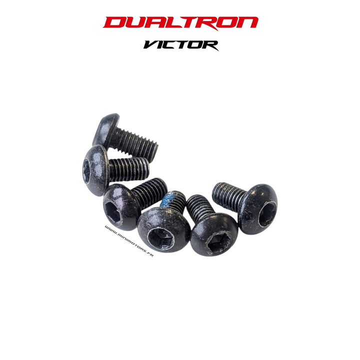 Vis de disque de frein (x6) – Dualtron Victor