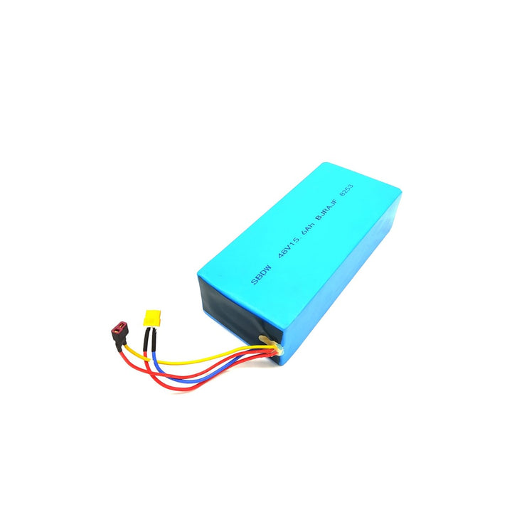 Batterie 48V 15,6Ah – Futecher Gun