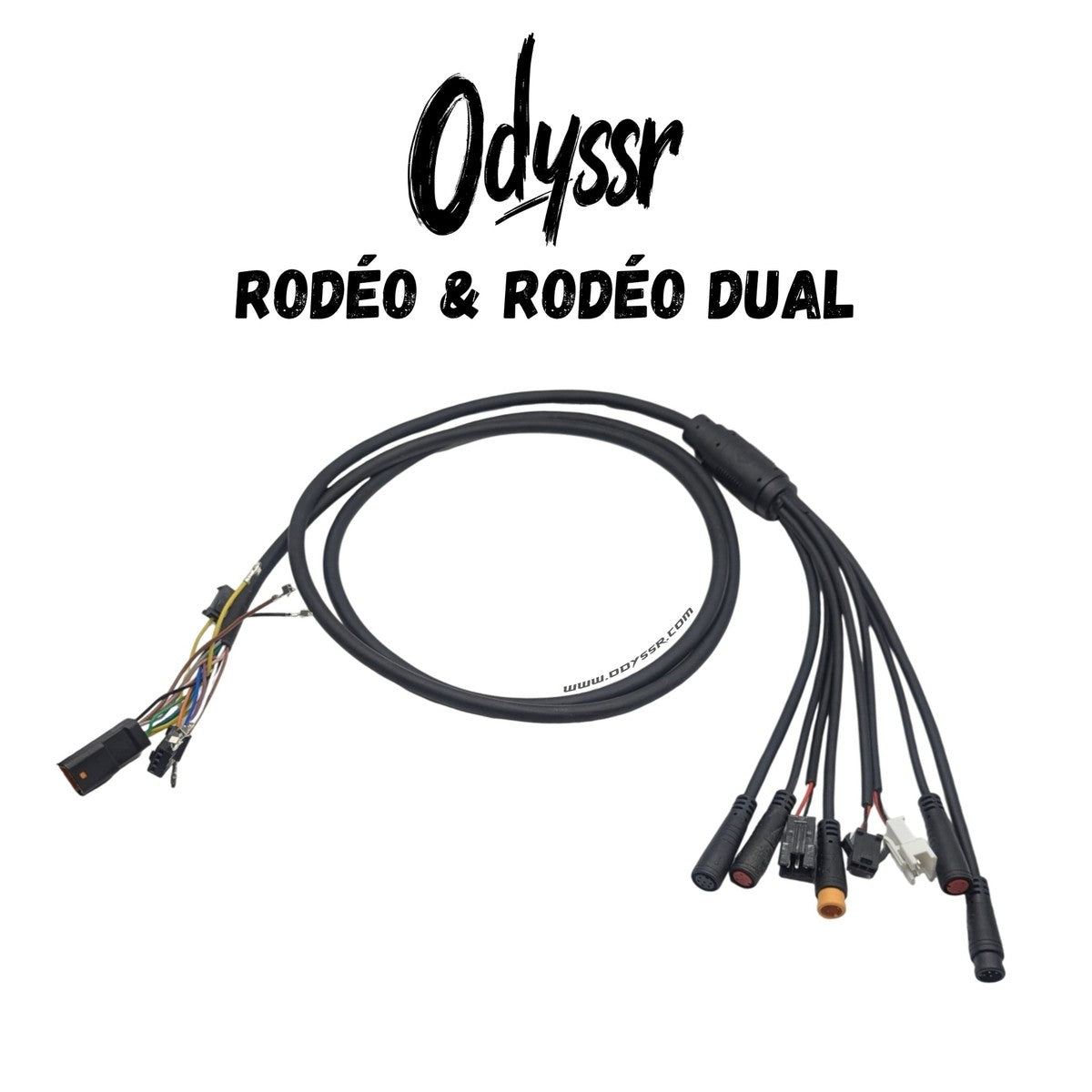 Câble principal – Odyssr Rodeo & Rodeo Dual