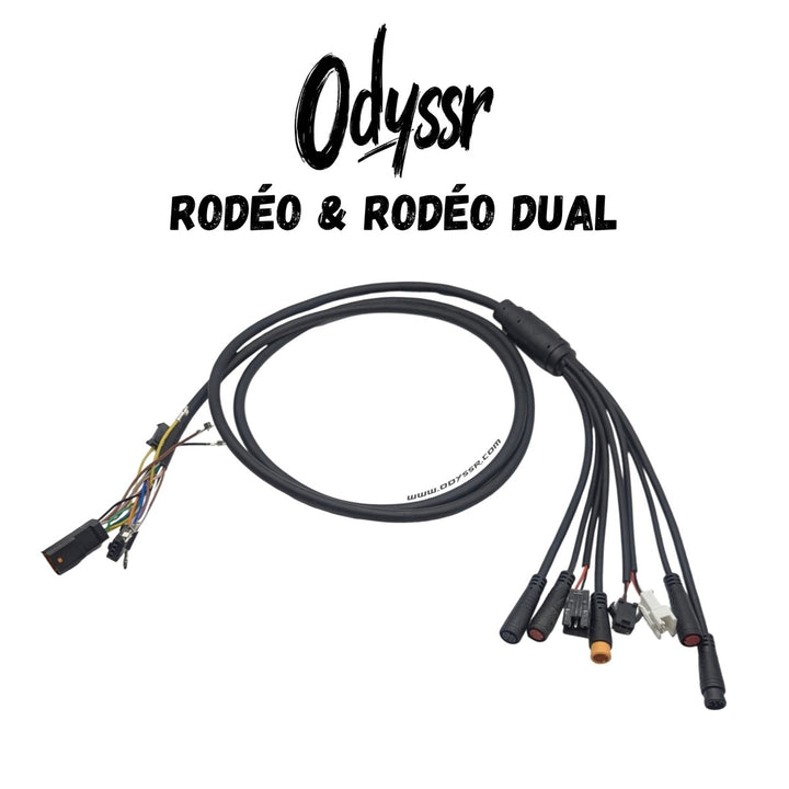 Câble principal – Odyssr Rodeo & Rodeo Dual