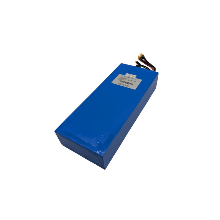 Batterie 60V 35Ah LG reconditionnée – Teverun Fighter 10+, 11+ & compatibles