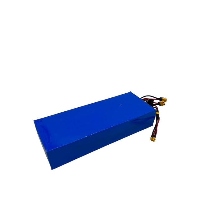 Batterie 52V 20Ah reconditionnée – Teverun Fighter Mini