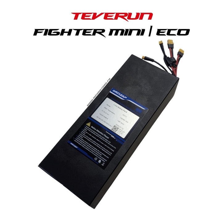 Batterie 52V 20Ah – Teverun Fighter Mini & Eco 2025