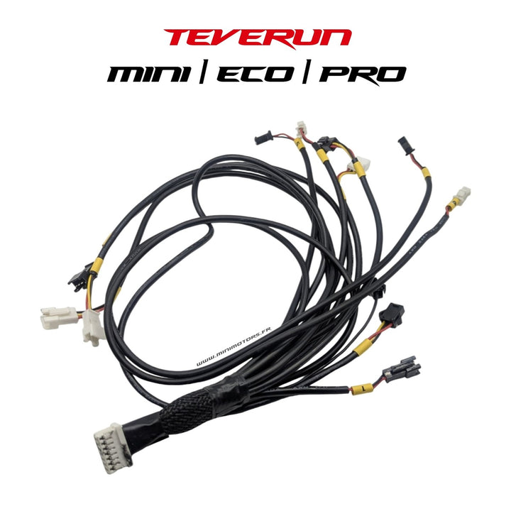 Convertisseur LED V1 2024 – Teverun Fighter Mini & compatibles